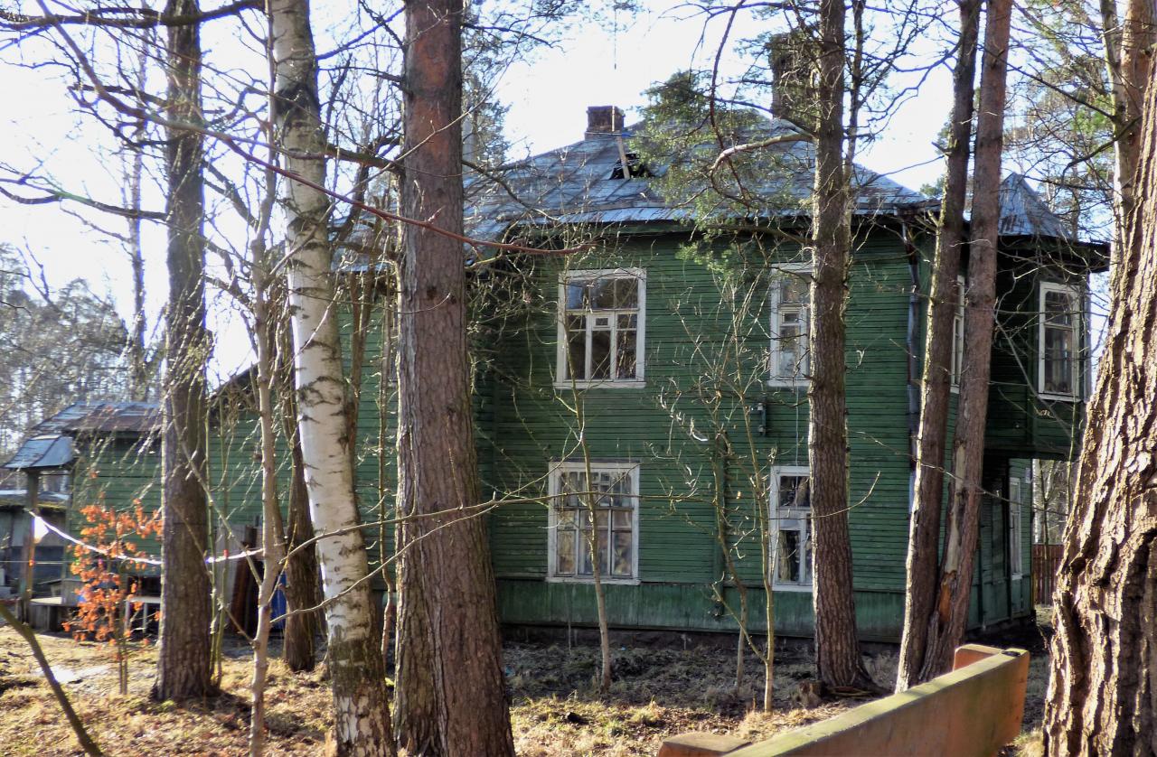 Лисий Нос Санкт Петербург Фото