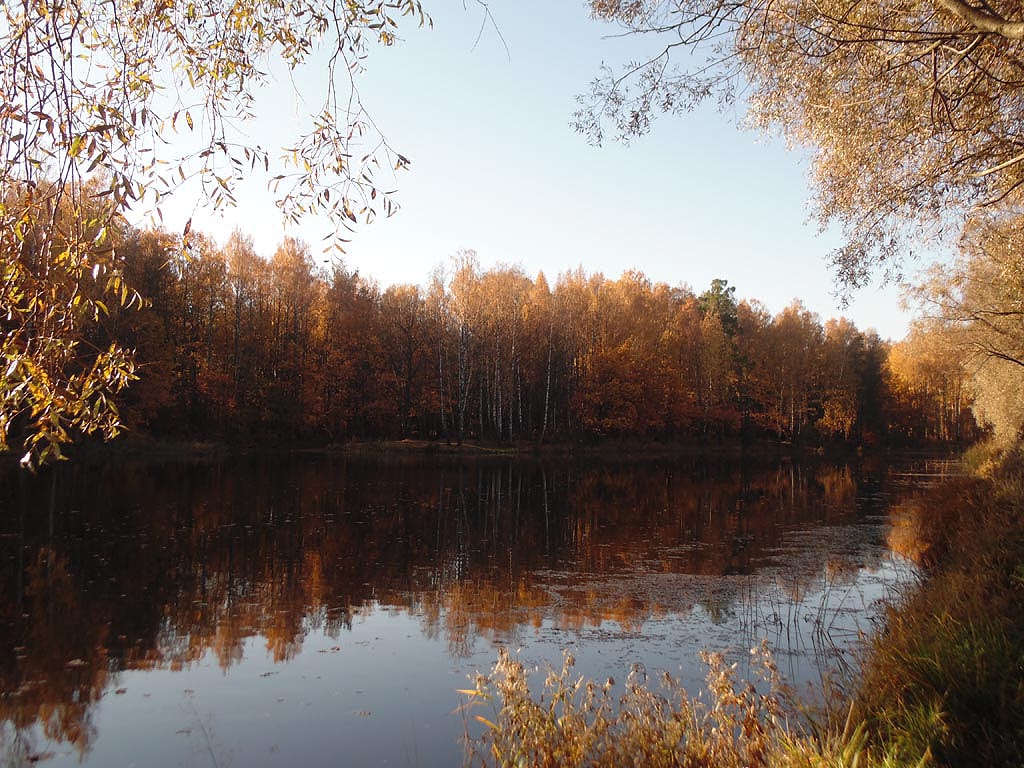 Английский парк ижевск